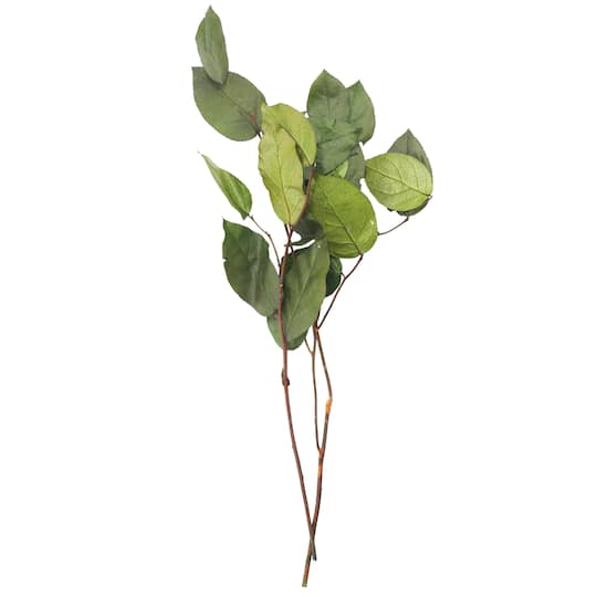 24" Basil Salal Foliage by Ashland®